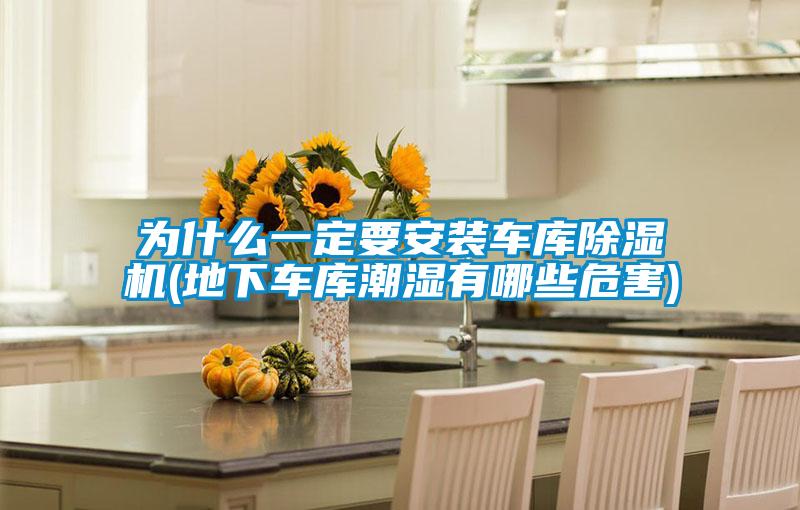 為什么一定要安裝車庫除濕機(jī)(地下車庫潮濕有哪些危害)
